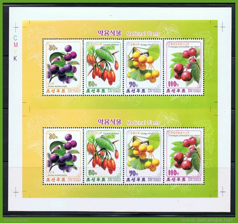 NORTH KOREA 2014 MEDICAL PLANTS PRINT SHEET - Plantes Médicinales