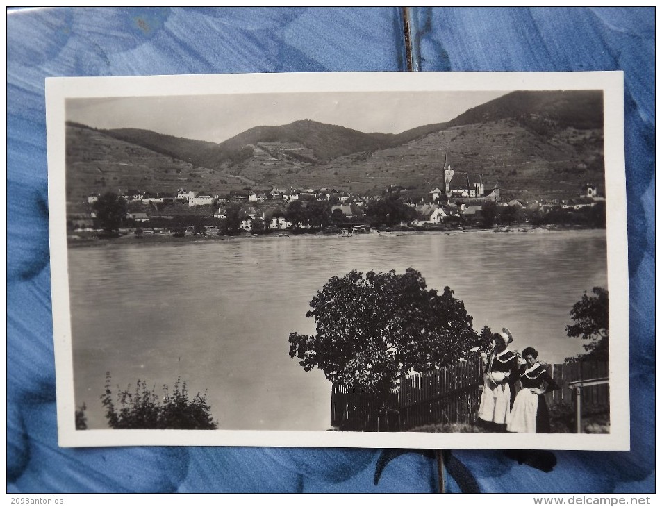 CARTOLINA Di WACHAU   NON  VIAGGIATA  A9145 - Wachau