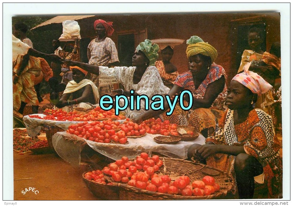 BENIN - MARCHE - AHOUANGBOME - PORTO - NOVO - Photo Hazoume - Tomate - Tomates - Benin