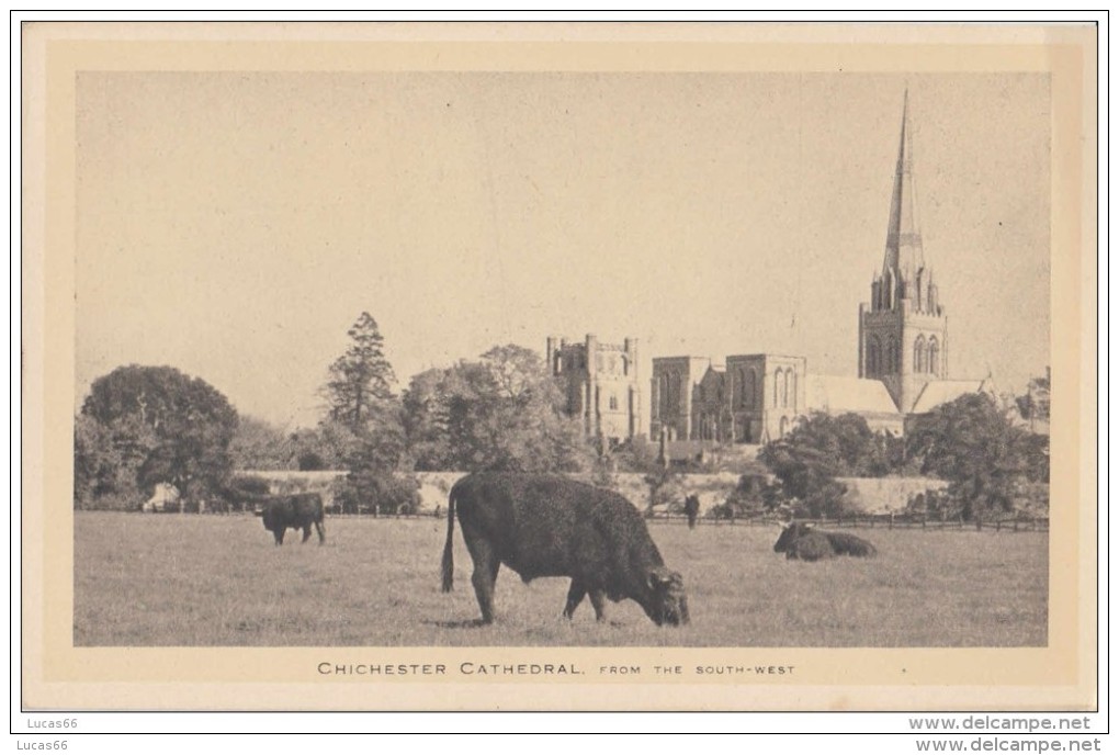 POSTCARD 1920 CA. CHICHESTER CATHEDRAL FROM SOUTH WEST - Chichester