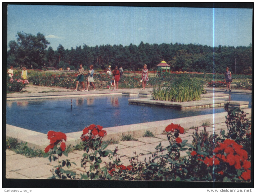 Minsk-in The Botanical Garden-unused,perfect Shape - Bielorussia