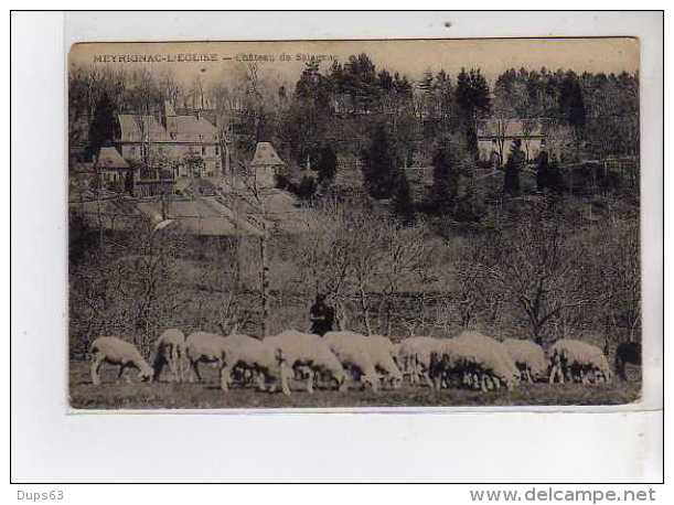 MEYRIGNAC L'EGLISE - Château De Salagnac - Très Bon état - Autres & Non Classés