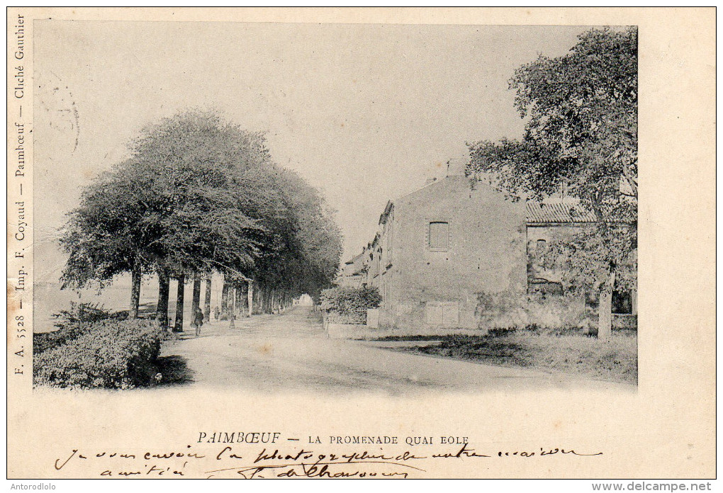 PAIMBOEUF  La  Promenade Quai Eole - Paimboeuf