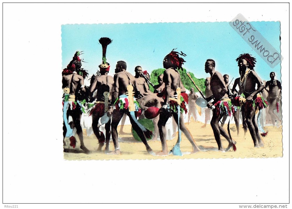 AFRIQUE - TCHAD - Région De DABA - Danses Après Récolte De Coton - Hommes Mi Nus Costumes - N°42 - Tschad