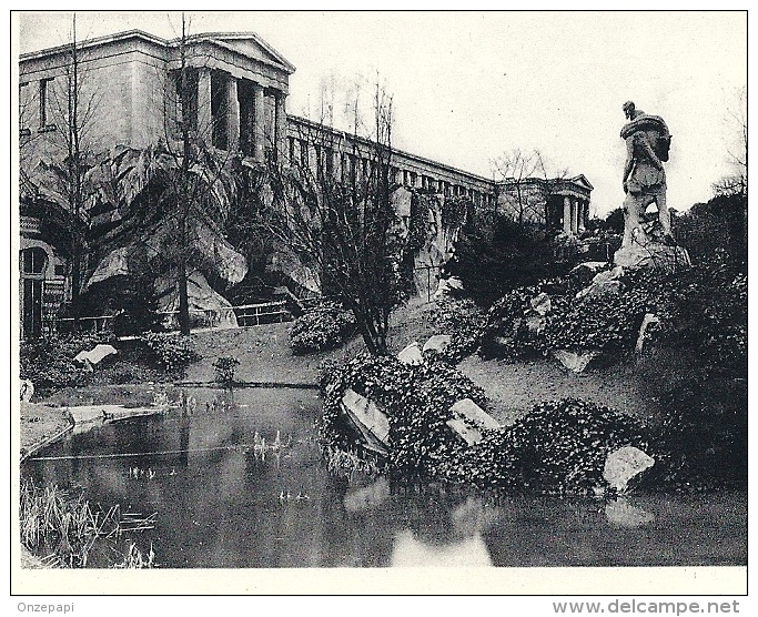 DIERENTUIN ANTWERPEN - Jardin Zoologique Anvers - fotoreeks dieren