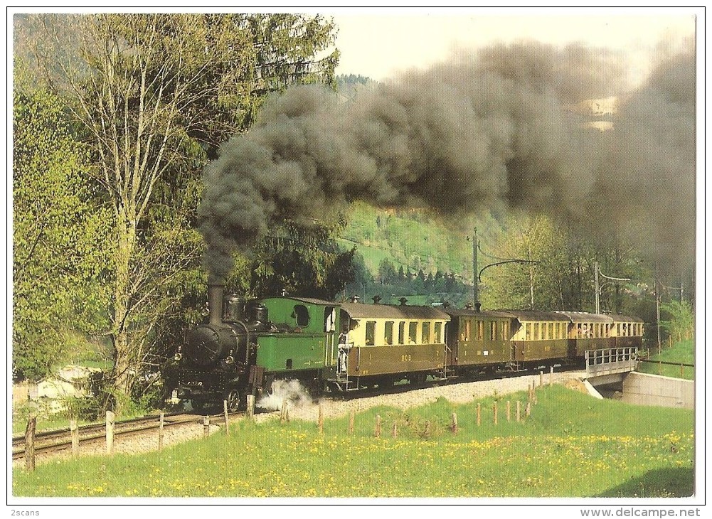 TRAIN Suisse - EISENBAHN Schweiz - GSTEIGWILER - Train Avec Locomotive à Vapeur G 3/4 11 - Photo R. Willen - Trains