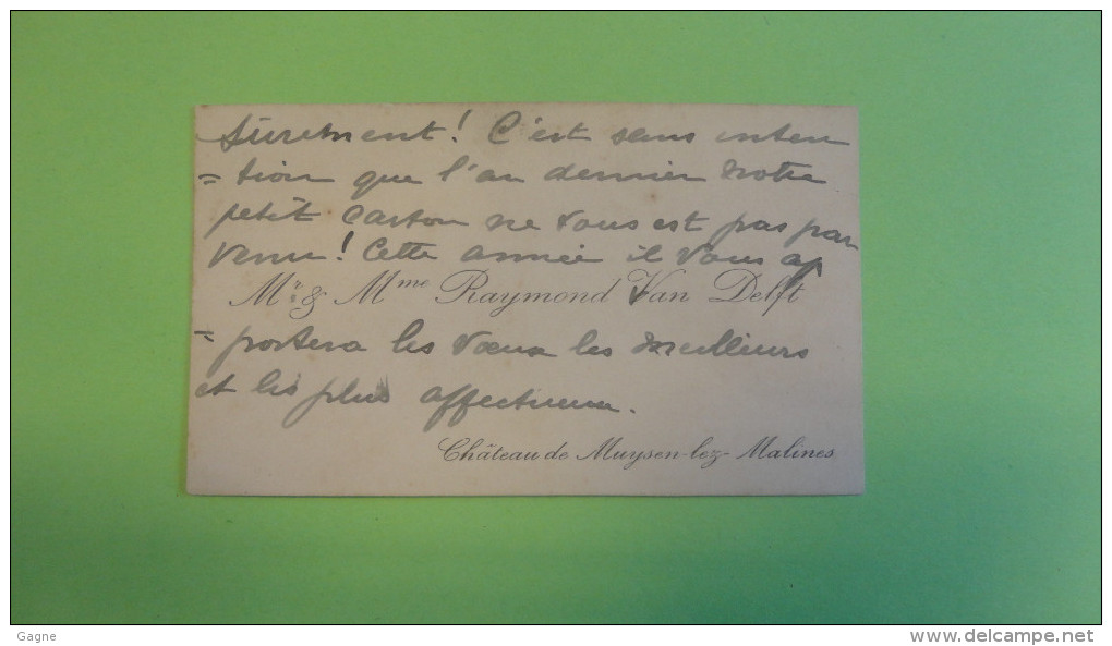 14 U/1- R.van Delft Chateau De Muysen Lez Malines - Visiting Cards