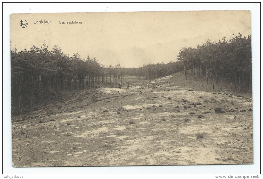 Carte Postale - LANKLAAR - LANKLAER - Les Sapinières - CPA    // - Dilsen-Stokkem