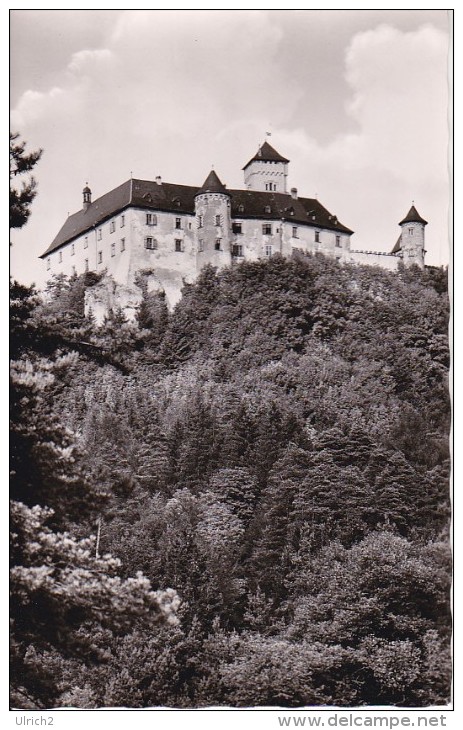 AK Burg Greifenstein - Fränk. Schweiz (10190) - Bamberg