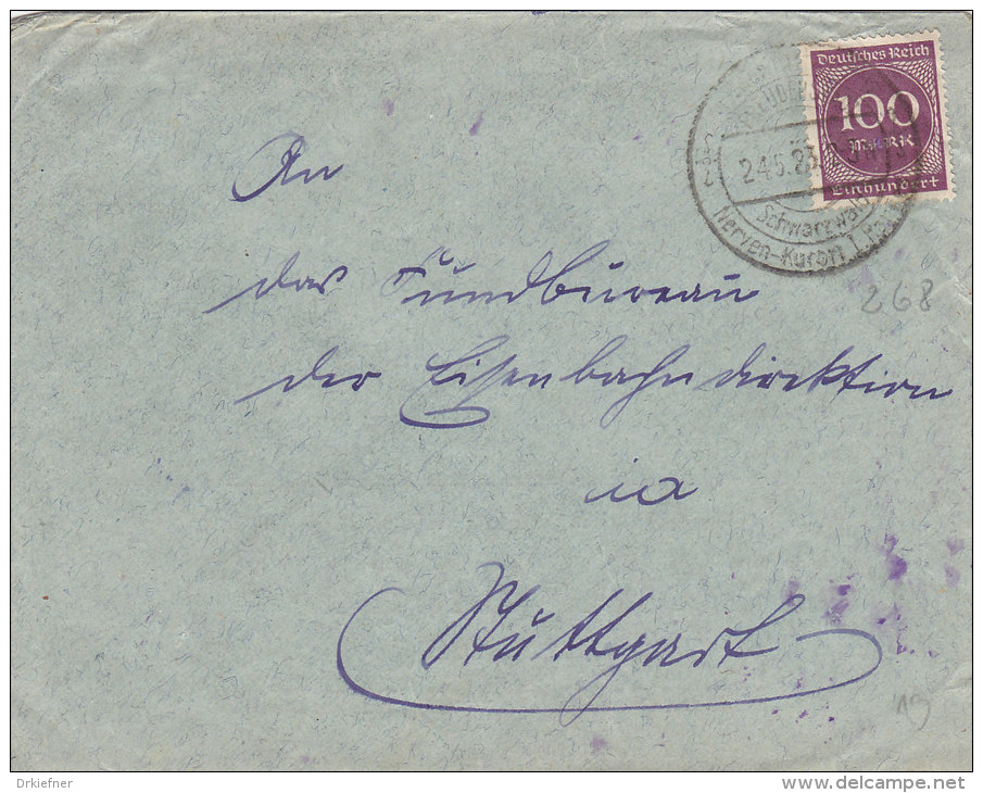 INFLA DR 268 A EF Auf Brief Mit Gelegenheitsstempel (Filbrandt Nr 101): Freudenstadt 24.5.1923 - Autres & Non Classés