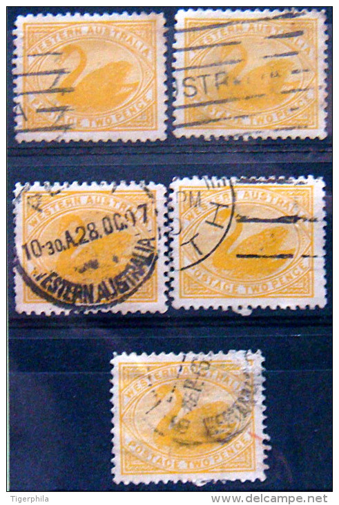 WESTERN AUSTRALIA 1905 2p Swan USED 5 Stamps Scott91 CV$14 Watermark : 13 - Oblitérés