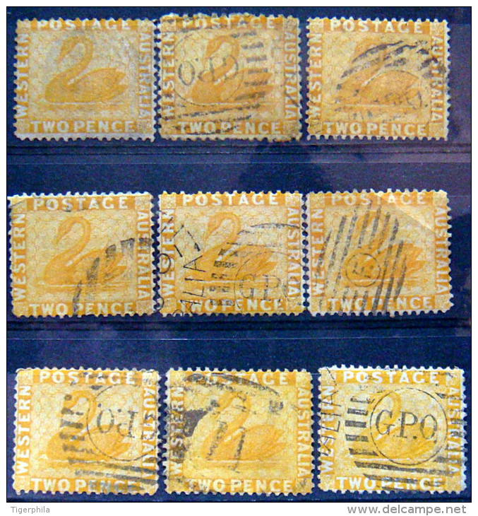 WESTERN AUSTRALIA 1872 2p Swan USED 9 Stamps Scott37 CV$19 Watermark : 1 - Oblitérés