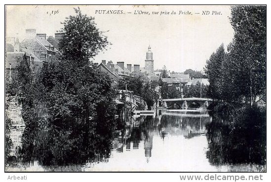 61 PUTANGES ++ L'Orne, Vue Prise Du Friche ++ - Putanges