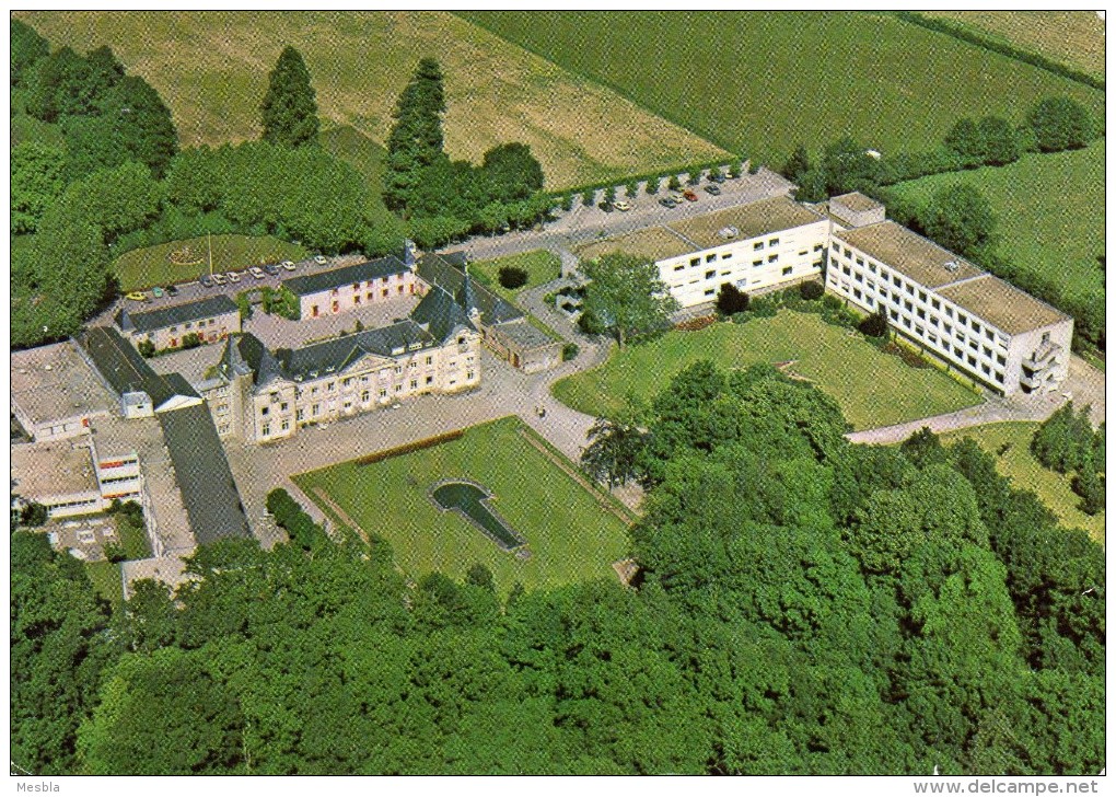 CPSM  -    MAUVES  Sur  LOIRE  (44)   Vue Aérienne   HOPITAL  DE LA  DROITIERE - Mauves-sur-Loire