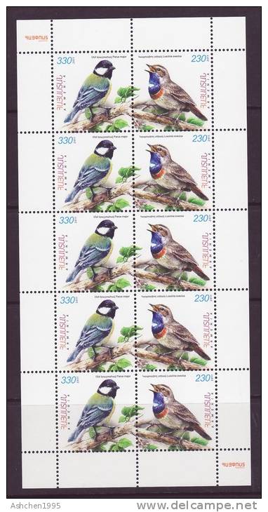 Armenien/Armenie/Armenia 2011, Birds, Songbirds, Mini Sheet - MNH ** - Arménie