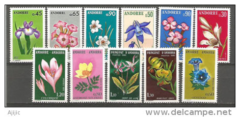 ANDORRE. Les Fleurs De La Principauté.   11 T-p Neufs **. - Collections