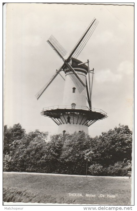 PAYS-BAS - THOLEN - MOLEN DE HOOP - Tholen