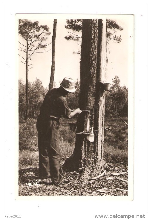 CPA  Landes - Gemmage Activé - Gemmeur Faisant L'entaille - Bauern