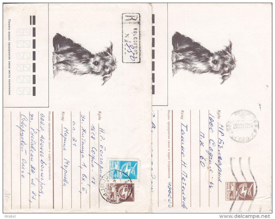 Animaux, Chien , Deux Enveloppes Entiers Postaux Russie, Une  Recommandée 1987 - Chiens