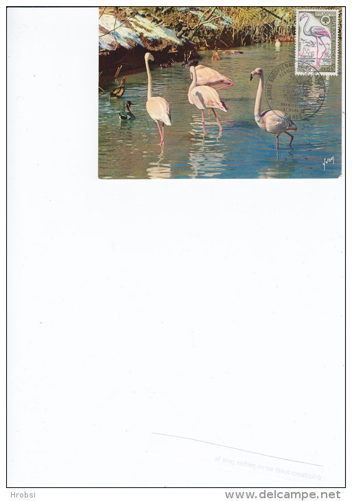 Animaux, Flamant Rose, Carte Maximum Soie France Et Une Autre, Yvert 1634, Paris 1970 - Flamencos