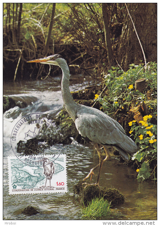 Animaux, Heron Peche, Carte Maximum  France , Yvert 2146, Rochefort 1981 - Fenicotteri