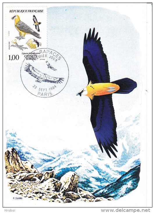 Animaux, Oiseaux, Gypaete Barbu, Carte Maximum Paris 1984, Yvert 2337 - Aigles & Rapaces Diurnes