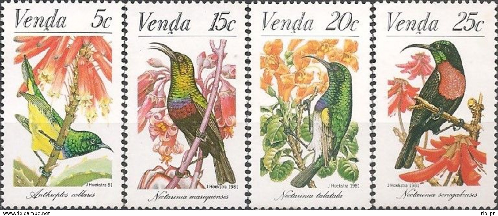 VENDA - COMPLETE SET HUMMINGBIRDS 1981 - MNH - Colibris