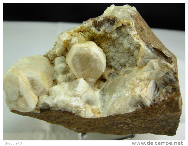 CALCITE SUR CALCAIRE DE L´HETTANGIEN 6,5 X 4,5 CM CAUSSE DE MONTBEL - Fossilien