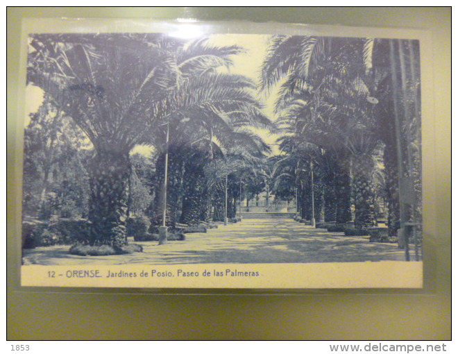 ORENSE - JARDINES DE POSIO - PASEO DE LAS PALMERAS - 12 - Orense