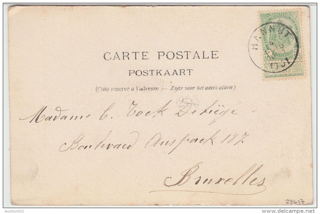 23617g MARCHE Aux PORCS - Hannut - 1901 - Hannut