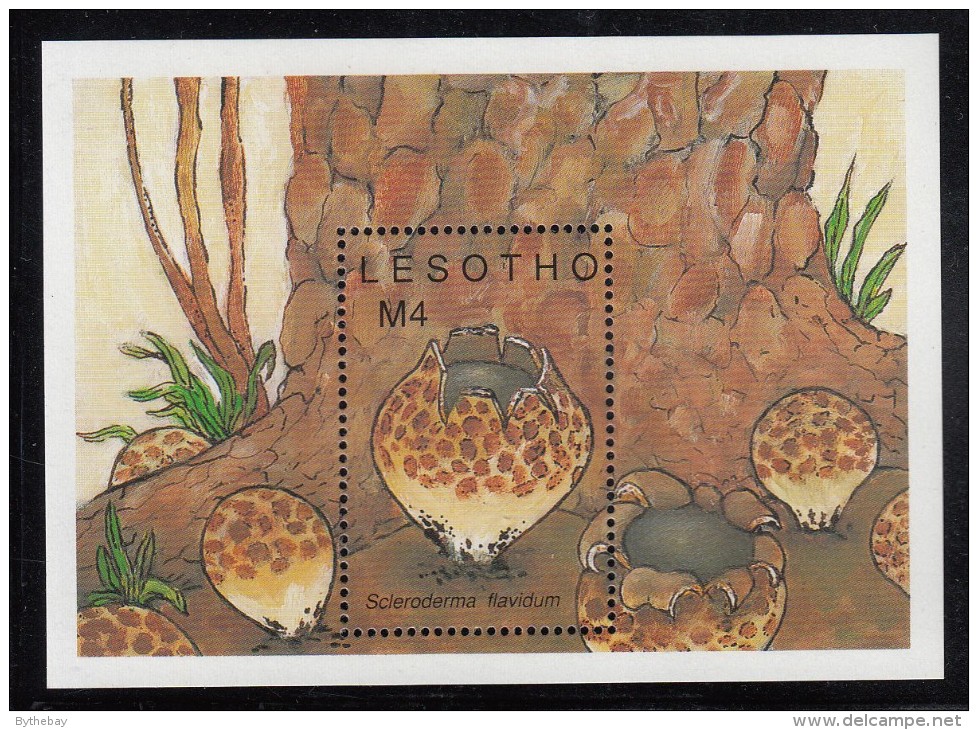 Lesotho MNH Scott #725 Souvenir Sheet 4m Scleroderma Flavidum - Mushrooms - Lesotho (1966-...)