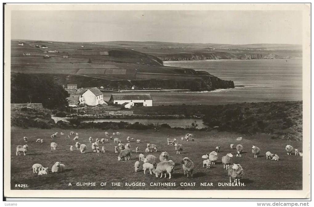 A Glimpse Of The Rugged Caithness Coast Near Dunbeath - Caithness