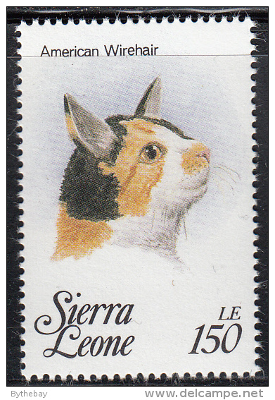 Sierra Leone MNH Scott #1644c 150le American Wirehair  - Cats Of The World - Sierra Leone (1961-...)