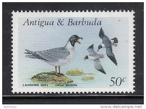 Antigua & Barbuda MNH Scott #1008 50c Laughing Gull - Birds - Antigua Y Barbuda (1981-...)