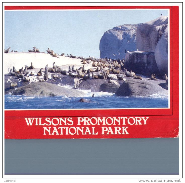 (419) Australia - VIC - Wilson Promontory Seals - Mornington Peninsula