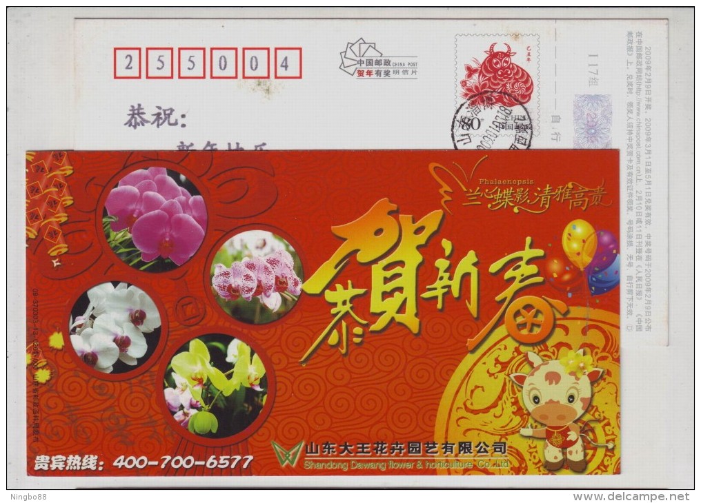 Phalaenopsis Amabilis Orchid,China 2009 Shandong Dawang Flower & Horticulture Company Advertising Pre-stamped Card - Orchidee