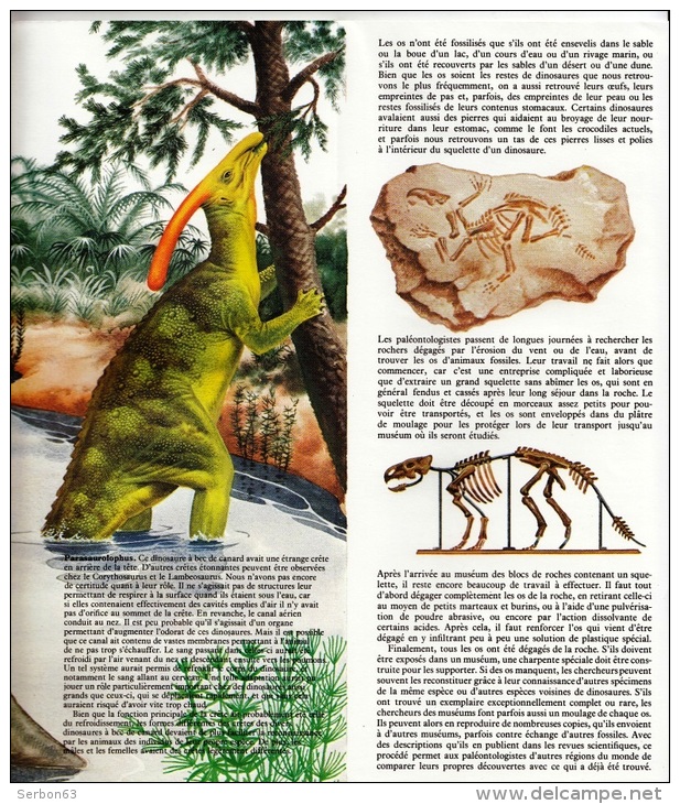 GUIDE DOMINO GALLIA N°11 EN COULEUR EN FORME DE CARTE ROUTIERE 24 PLANCHES 11cmX25cm DINOSAURES PREHISTORIQUE PROTOCERAT - Other & Unclassified