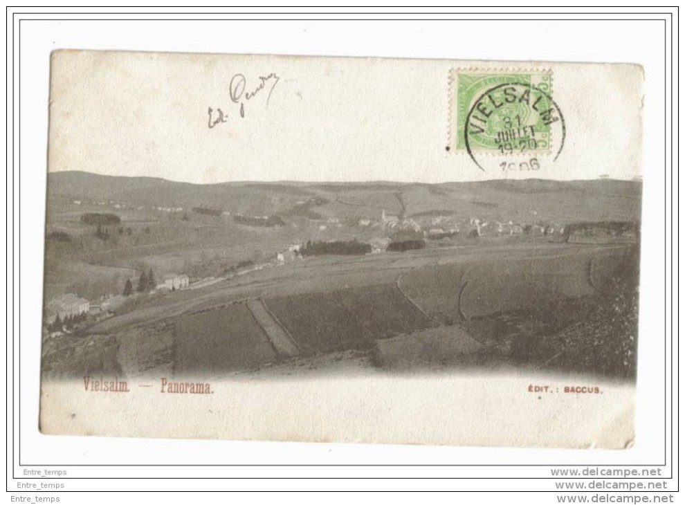 Vielsam Panorama 1906 Dos Entier - Vielsalm