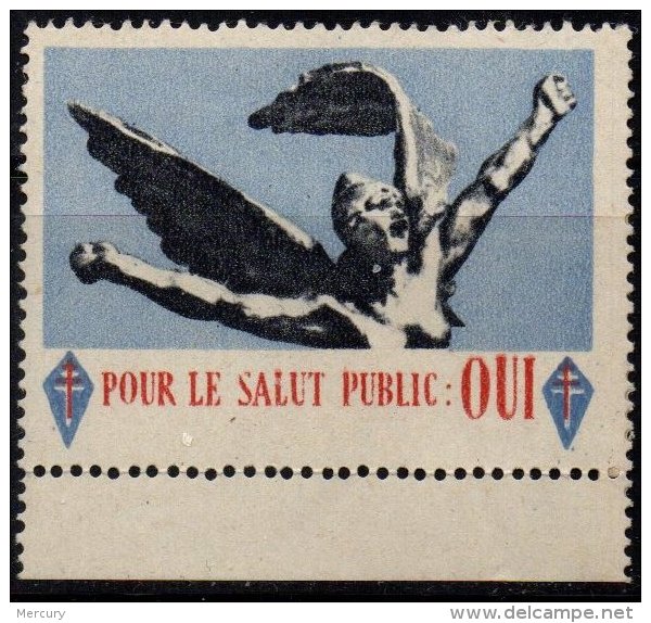 FRANCE - Vignette Pour Le Salut Public - Générél De Gaulle - TTB - Bevrijding
