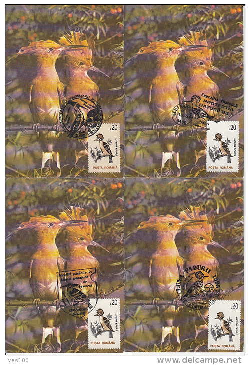 BIRDS, HOOPOE, CM, MAXICARD, CARTES MAXIMUM, 4X, 1993, ROMANIA - Specht- & Bartvögel