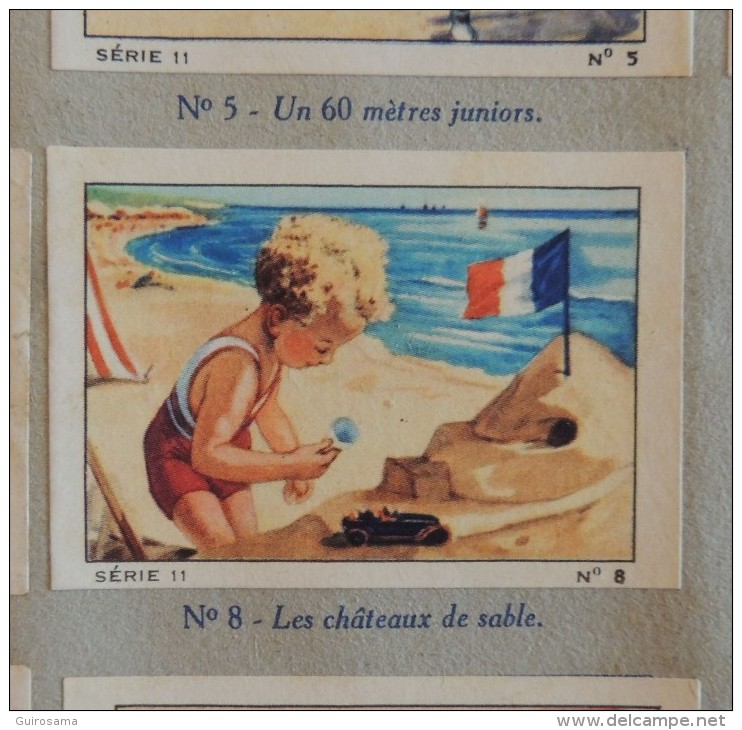 Album Nestlé 1939-1940 : Sports, Animaux, paysages de France (incomplet comme souvent)