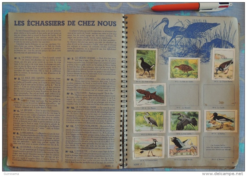 Album Nestlé 1939-1940 : Sports, Animaux, paysages de France (incomplet comme souvent)