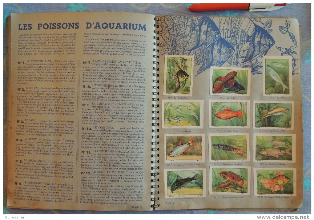 Album Nestlé 1939-1940 : Sports, Animaux, paysages de France (incomplet comme souvent)