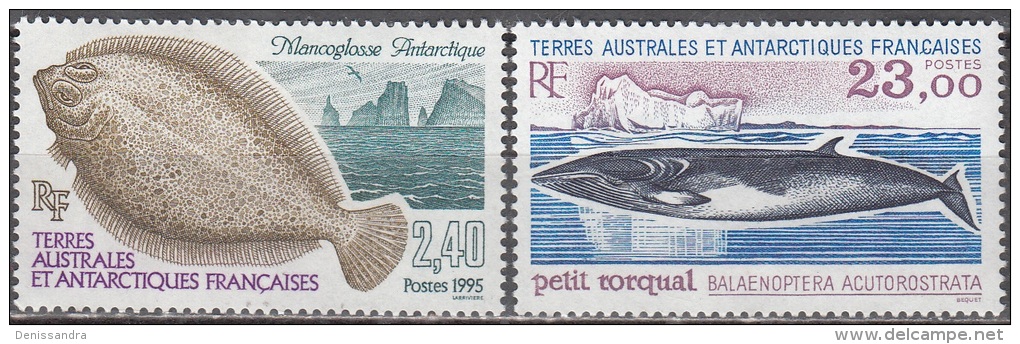 TAAF 1995 Michel 331 - 332 Neuf ** Cote (2005) 12.80 € Mancoglosse Antarctique / Petit Rorqual - Unused Stamps