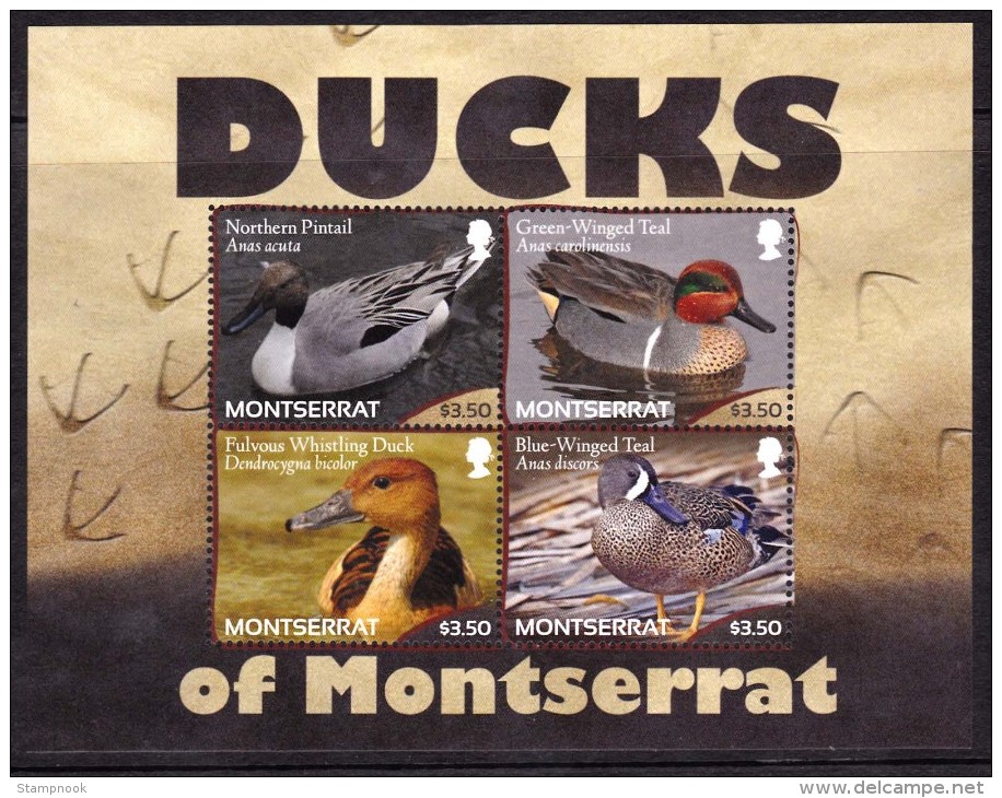 Montserrat Ducks Sheetlet Of 4 Mint NH               12-5-14 - Montserrat
