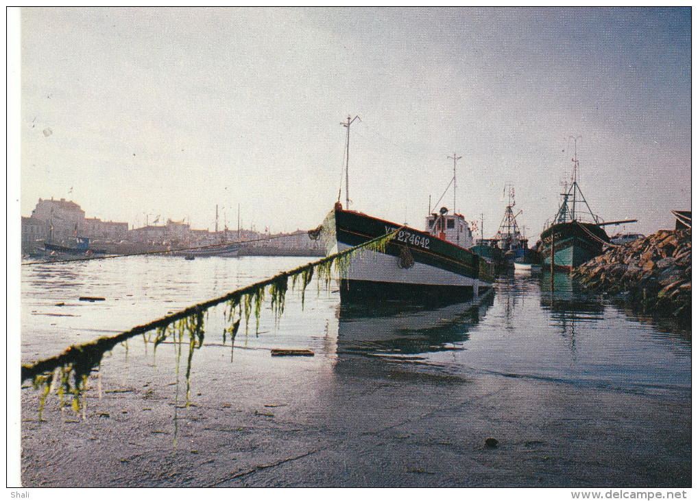 CPSM  LEVER DU JOUR SUR UN PORT DE LA COTE VENDEENNE - Otros & Sin Clasificación