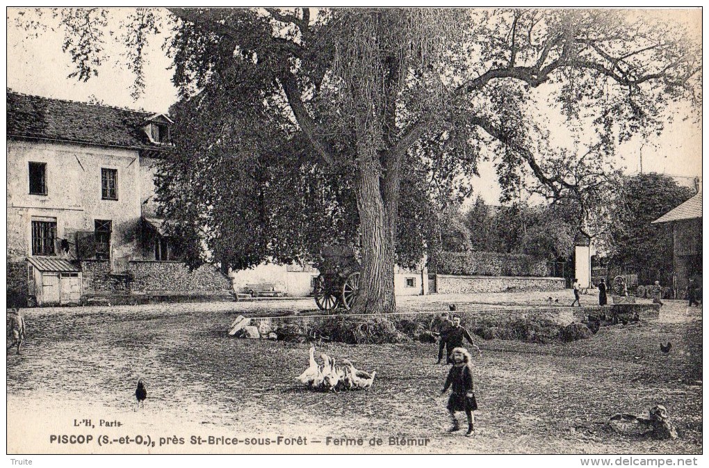 PISCOP PRES SAINT-BRICE-SOUS-FORET FERME DE BLEMUR ENFANTS OIES - Pontcelles