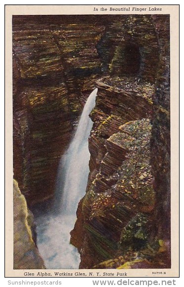 In The Beautiful Finger Lakes Glen Alpha Watkins Glen New York State Park New York City New York - Parcs & Jardins