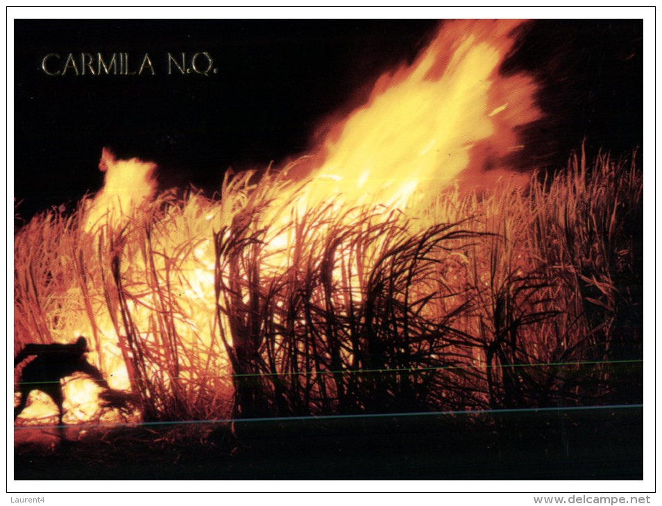 (700) Australia - QLD - Carmila (burning Sugar Canes) - Far North Queensland