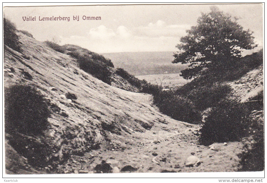 Vallei Lemelerberg Bij Ommen   - Holland/Nederland - Ommen